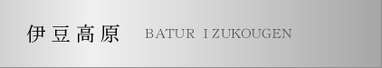 �ɓ��������� �É� �o�g�D�[���ɓ������yBATUR IZUKOUGEN�z