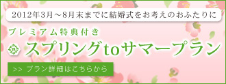 スプリングtoサマープラン